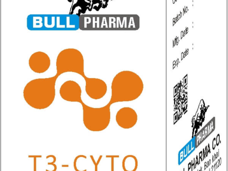 t3cyto.jpeg